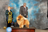 Chow #9 Fri BIS Judge Judy Brown