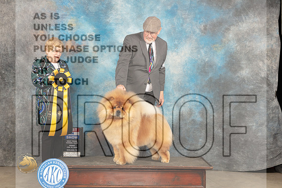 Chow #9 Fri BIS Judge Judy Brown_JP_0916_MIDLAND2024_HR3