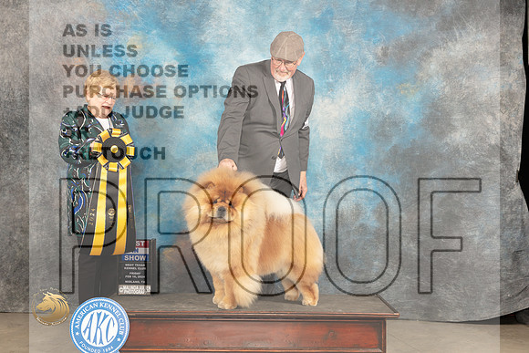 Chow #9 Fri BIS Judge Judy Brown_JP_0917_MIDLAND2024_HR3
