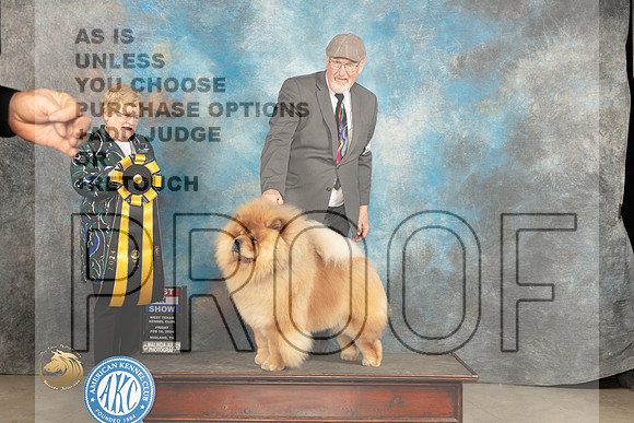 Chow #9 Fri BIS Judge Judy Brown_JP_0918_MIDLAND2024_HR3