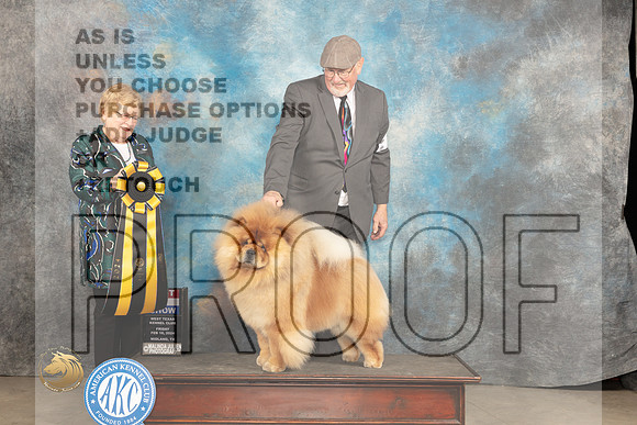Chow #9 Fri BIS Judge Judy Brown_JP_0919_MIDLAND2024_HR3