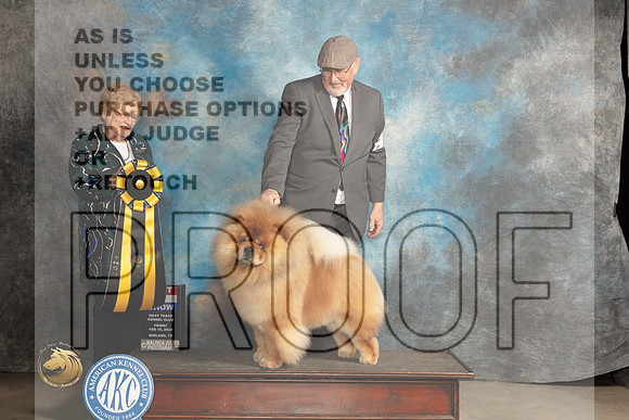 Chow #9 Fri BIS Judge Judy Brown_JP_0920_MIDLAND2024_HR3