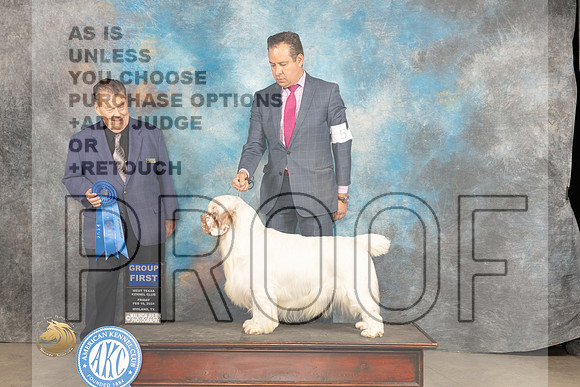 Clumber Spaniel #5 Fri G1 Judge Del Richards_JP_0933_MIDLAND2024_HR3