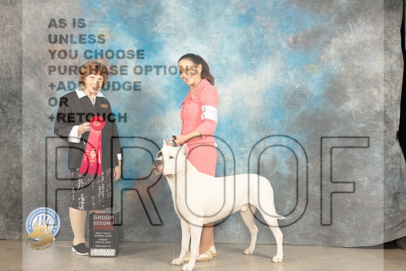 Dogo Argentino #5 Fri G2 Judge Donnelle Richards_JP_0893_MIDLAND2024_HR3