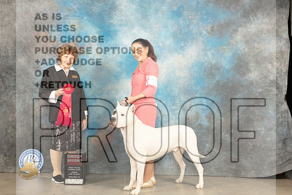 Dogo Argentino #5 Fri G2 Judge Donnelle Richards_JP_0895_MIDLAND2024_HR3