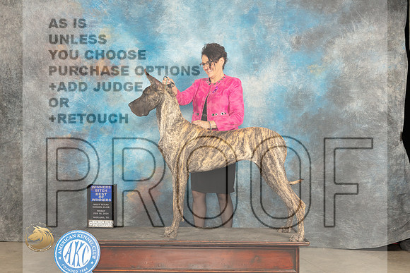 Great Dane #8 Fri WBBOW Judge Donnelle Richards_JP_0908_MIDLAND2024_HR3