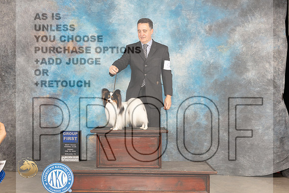 Papillon #9 Fri G1 Judge Tim Robbins_JP_0884_MIDLAND2024_HR3