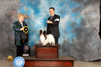 Papillonn #9 Fri RBIS Judge Judy Brown