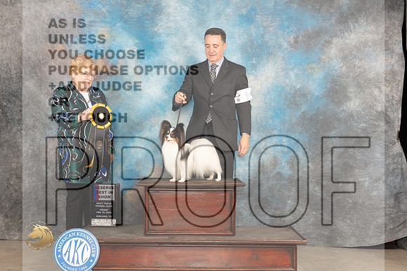 Papillonn #9 Fri RBIS Judge Judy Brown_JP_0927_MIDLAND2024_HR3