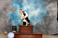 Pembroke Welsh Corgi #11 Fri BBG2 Judge Sherry Patton