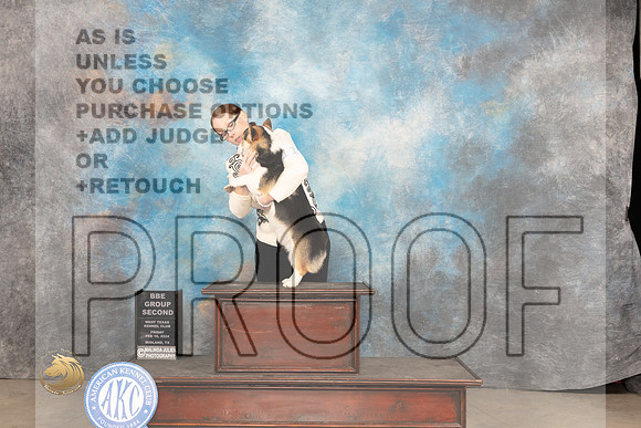 Pembroke Welsh Corgi #11 Fri BBG2 Judge Sherry Patton_JP_0942_MIDLAND2024_HR3