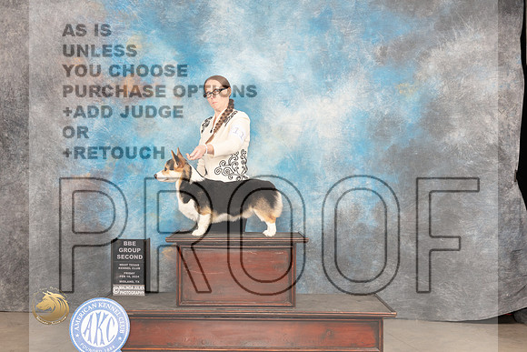 Pembroke Welsh Corgi #11 Fri BBG2 Judge Sherry Patton_JP_0945_MIDLAND2024_HR3