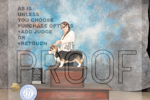 Pembroke Welsh Corgi #11 Fri BBG2 Judge Sherry Patton_JP_0950_MIDLAND2024_HR3