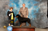 Rottweiler #16 Fri G3 Judge Donnelle Richards