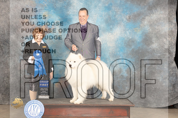 Samoyed #7 Fri G1 Judge Donnelle Richards_JP_0937_MIDLAND2024_HR3