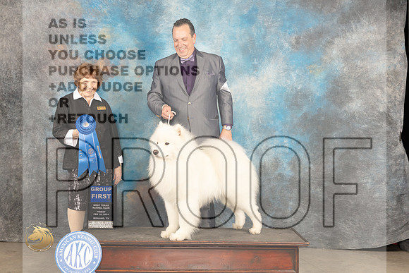 Samoyed #7 Fri G1 Judge Donnelle Richards_JP_0940_MIDLAND2024_HR3