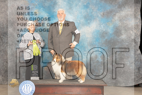 Shetland Sheepdog #22 Fri OHRBIS Judge Gloria Kerr_JP_0990_MIDLAND2024_HR3