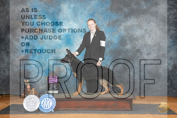 German Shepherd Dog #6 Sat PG1 Judge Robert Stein__JP_7826_MARSHALL_2024_HR3