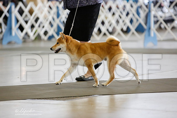 _JN_3832-DallasJul2014-HR3