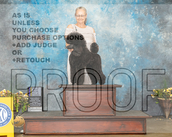 Poodle Miniature #8 Sun BOB Judge John Rameriz-MMJ_1549-NWARK2022-HR3