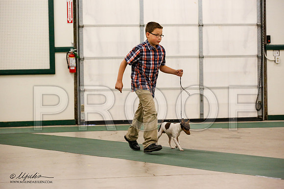 _JN_0567-NrmnNov2014-HR3