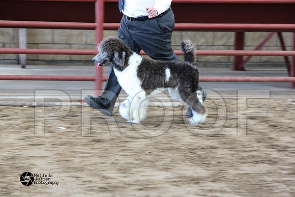 MJ2_0968-WacoFeb14-HR
