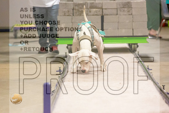 American Pit Bull Weight Pull Thurs_JJL_5464_BeltonTxClassic2021-HR3
