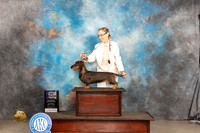 Dachshund Wirehaired #8 Sat WDM Judge Donnelle Richards