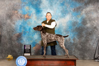 German Shorthaired Pointer #9 Sat RWD Judge Marilyn Pipes