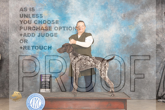 German Shorthaired Pointer #9 Sat RWD Judge Marilyn Pipes_JP_1184_MIDLAND2024_HR3