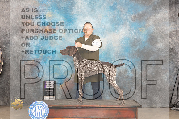 German Shorthaired Pointer #9 Sat RWD Judge Marilyn Pipes_JP_1183_MIDLAND2024_HR3