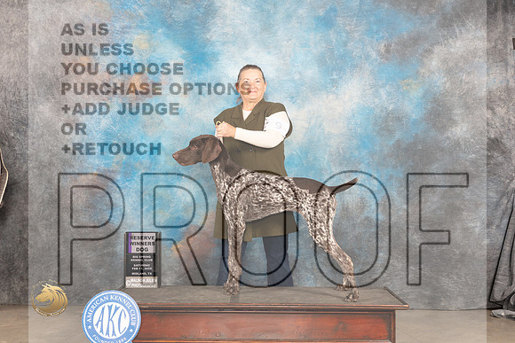 German Shorthaired Pointer #9 Sat RWD Judge Marilyn Pipes_JP_1185_MIDLAND2024_HR3
