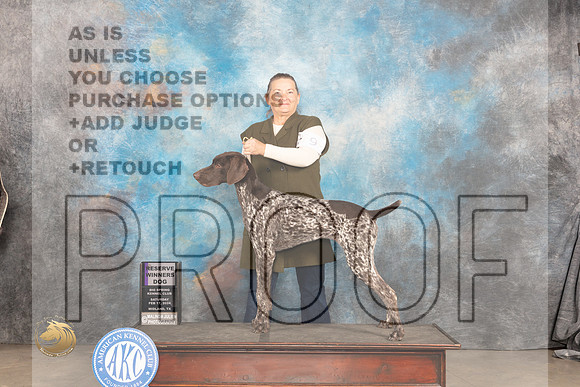 German Shorthaired Pointer #9 Sat RWD Judge Marilyn Pipes_JP_1186_MIDLAND2024_HR3