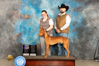 Phaorah Hound #7 Sat WDOHBOB Judge Del Richards