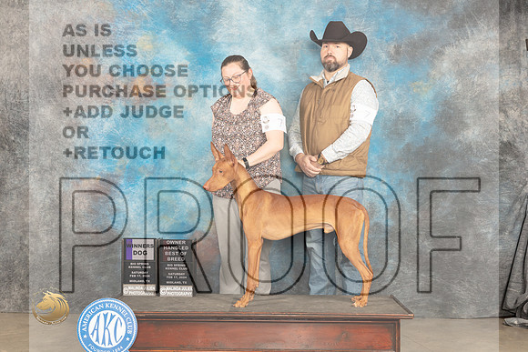 Phaorah Hound #7 Sat WDOHBOB Judge Del Richards_JP_1175_MIDLAND2024_HR3