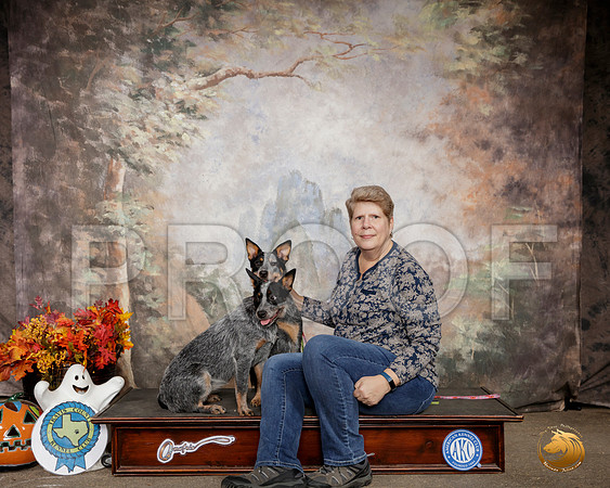 Australian Cattle Dog Sat Custom__SR_1482-Austin2019-HR3