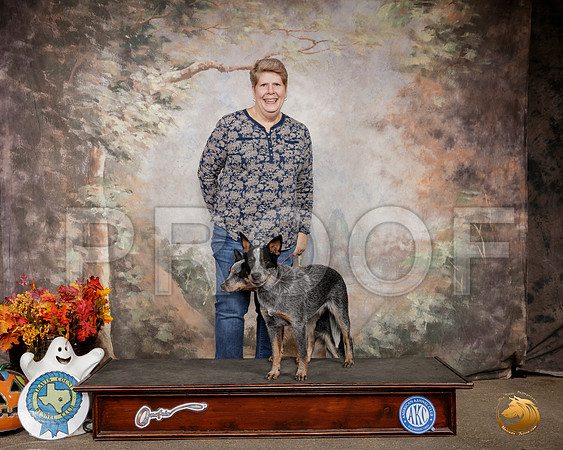 Australian Cattle Dogs Custom 2__SR_1513-Austin2019-HR3