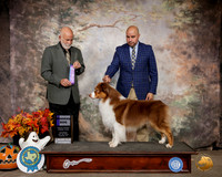 Australian Shepherd #27 Sat WD Judge Sam Houston McDonald