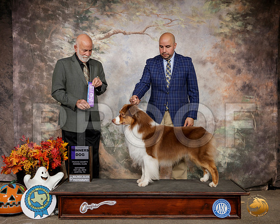 Australian Shepherd #27 Sat WD Judge Sam Houston McDonald__SR_1604-Austin2019-HR3