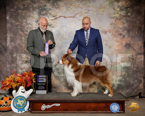 Australian Shepherd #27 Sat WD Judge Sam Houston McDonald__SR_1605-Austin2019-HR3