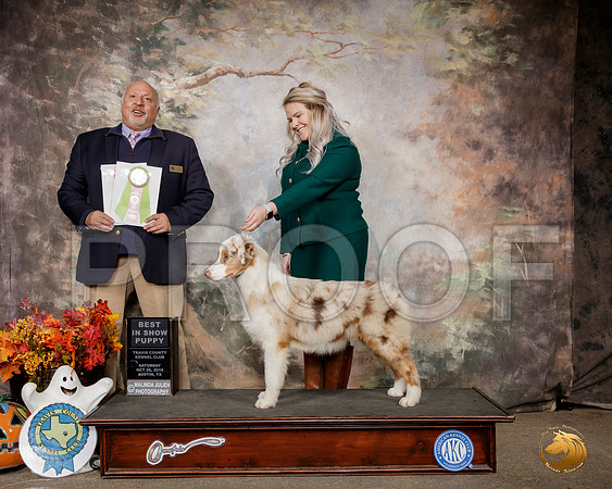 Australian Shepherd #8 Sat PBIS Judge Hal Biermann__SR_1511-Austin2019-HR3