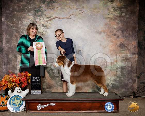 Australian Shepherd #J500 BJr Judge Marianne McCullough__SR_1437-Austin2019-HR3