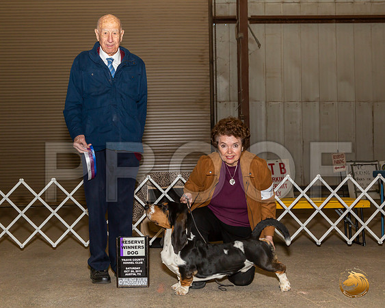 Basset Hound #7 Sat RWD Judge Hal Biermann__JJ_7632-Austin2019-HR3
