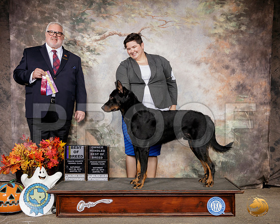 Beauceron #5 Sat BOB Judge David Kirkland__SR_1416-Austin2019-HR3
