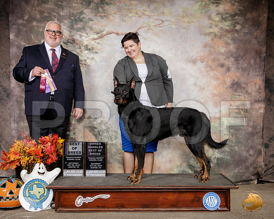 Beauceron #5 Sat BOB Judge David Kirkland__SR_1417-Austin2019-HR3