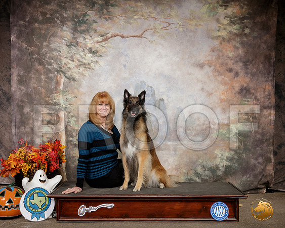 Belgian Tervuren #R27 __SR_1574-Austin2019-HR3