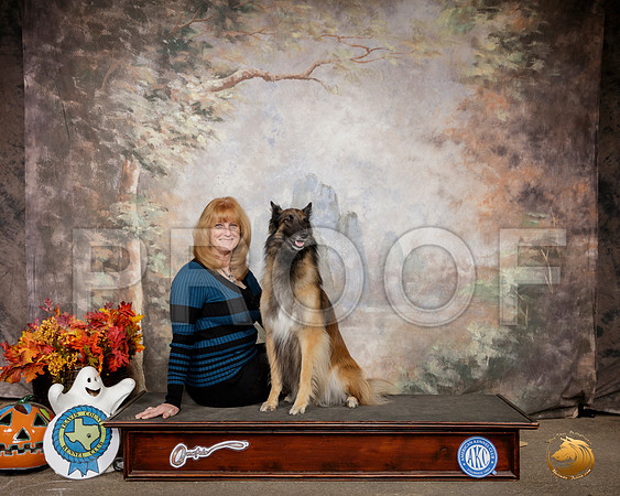 Belgian Tervuren #R27 __SR_1575-Austin2019-HR3
