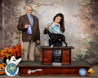 Boston Terrier #17 Sat BOW Judge Robert Shreve