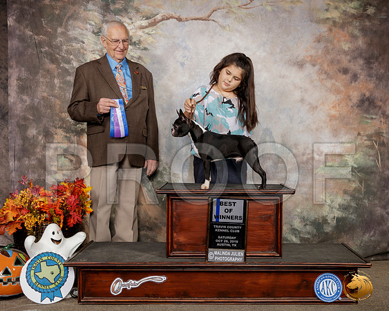Boston Terrier #17 Sat BOW Judge Robert Shreve__SR_1594-Austin2019-HR3
