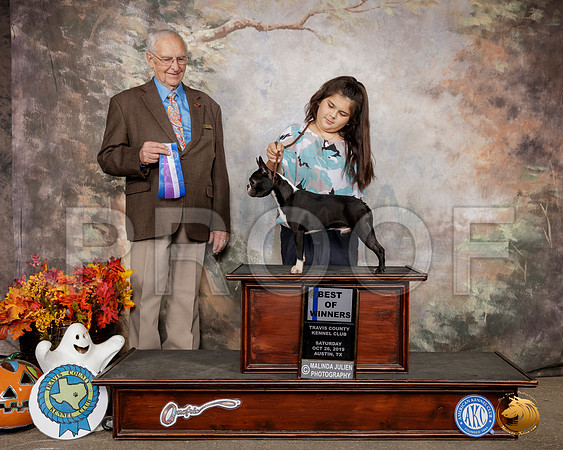 Boston Terrier #17 Sat BOW Judge Robert Shreve__SR_1595-Austin2019-HR3